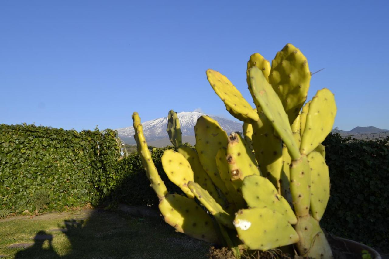 Good Morning Etna Bed & Breakfast Bronte Luaran gambar
